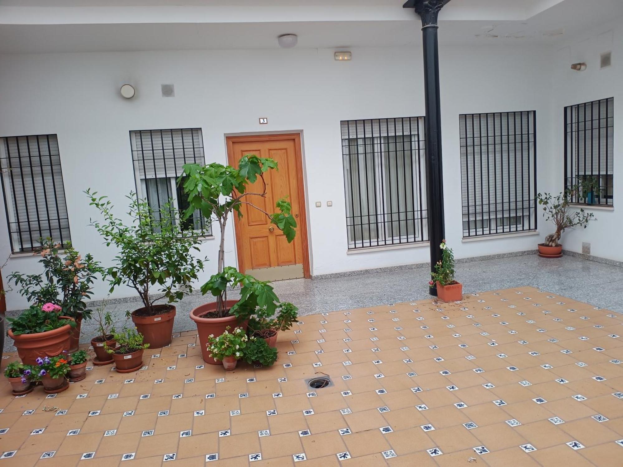 Sunshine Fernando Colon Apartment Cordoba Exterior photo
